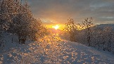 20251122_114044.jpg