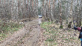 Трофи-лайф фото 4х4 покатушка Шатурские Тайны 03.11.2024 -  (8).png