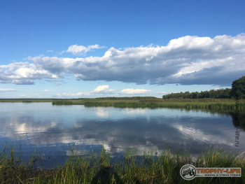 Фото Трофи-лайф 4х4 покатушка-экспедиция Рязанская Мещера 21-24.08.20 -72.JPG