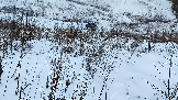 Трофи-лайф фото 4х4 покатушка Рогачёвские Сокровища 14.12.2024 - (72).png