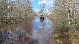 20260502_152524.jpg