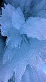 9CAE44C1-346E-4771-839E-965AC1F615D4.jpeg