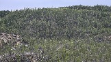 20250503_164623.jpg