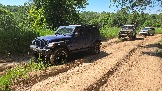 20260606_111426.jpg