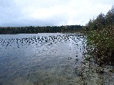2023-10-09 11-40-49.JPG