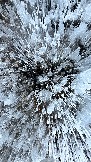 749668EC-7B59-4A23-9C7E-DA74F055C782.jpeg