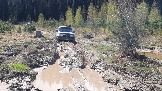 20250426_114354.jpg