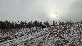 Трофи-лайф фото 4х4 покатушка Школа 4х4 16.02.2025 -  (190).jpg