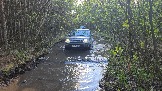 20250509_181400.jpg