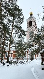 IMG_7705.jpg
