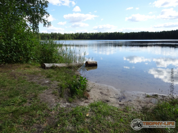 Фото Трофи-лайф 4х4 покатушка-экспедиция Рязанская Мещера 21-24.08.20 -24.JPG