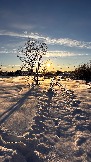 IMG_2785.JPG