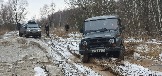 20241130_110112.jpg