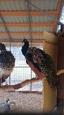 20231106_092515.jpg