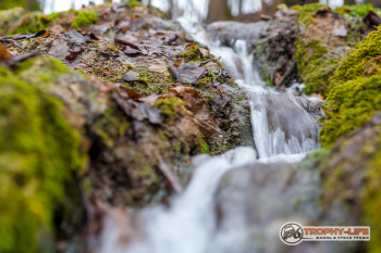 _MG_8378.jpg