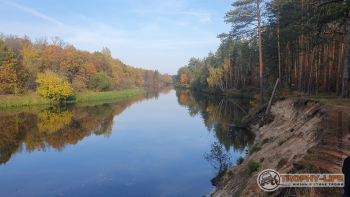 Фото Трофи-лайф 4х4 покатушка Мещерские Скитания 03.10.20 - 121.jpg