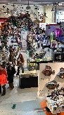 IMG_1099.jpg