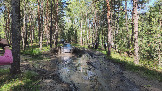 Трофи-лайф фото 4х4 покатушка Воскресенские Карьеры 15.08.2026 - 193.JPG