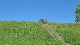 20260606_132649.jpg