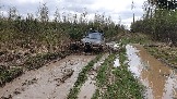 20250426_121252.jpg