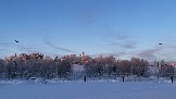 IMG_3590.JPG