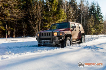 _MG_4319-59.jpg