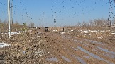 20260329_110709.jpg