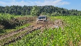 20260801_135359.jpg