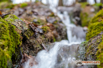 _MG_8374.jpg