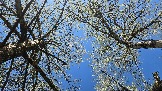 20250503_112749.jpg