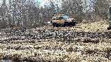 Трофи-лайф фото 4х4 покатушка Истринские Просеки 04.04.2026 - (84).jpg