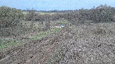 20251025_170405.jpg