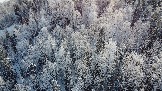 DJI_0949.JPG