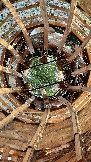 IMG_1462.jpg