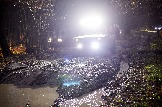 24-10-26_trophy-life_17 _0531jpg_web.jpg