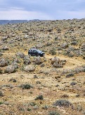 Трофи-лайф Экспедиция Казахстан Май 2024 (42).jpg