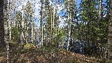 20260502_124052.jpg