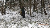 Фото Трофи-лайф 4х4 покатушка Новоистринские Просеки 28.10.23 - 436.jpg