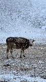 IMG_8708.jpg