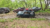 20250518_131442.jpg