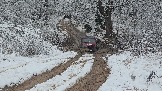 20251115_123648.jpg