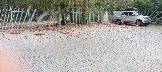 1700683520640.jpg