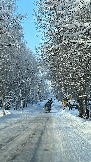 IMG_3740.JPG
