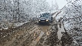 20251115_113154.jpg