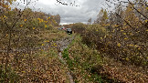 Трофи-лайф фото 4х4 покатушка Чеховские Медведи 10.10.2026 - 149.jpg