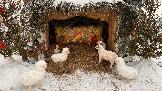 IMG_5671.jpg