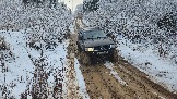 20251115_122911.jpg