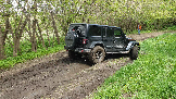 Трофи-лайф фото 4х4 покатушка В гости к зубрам 10.05.2024 -  (112).png