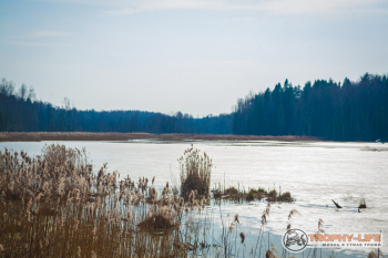 2020-03-28-kubrinsk-34.jpg