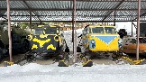 IMG_1210.jpg